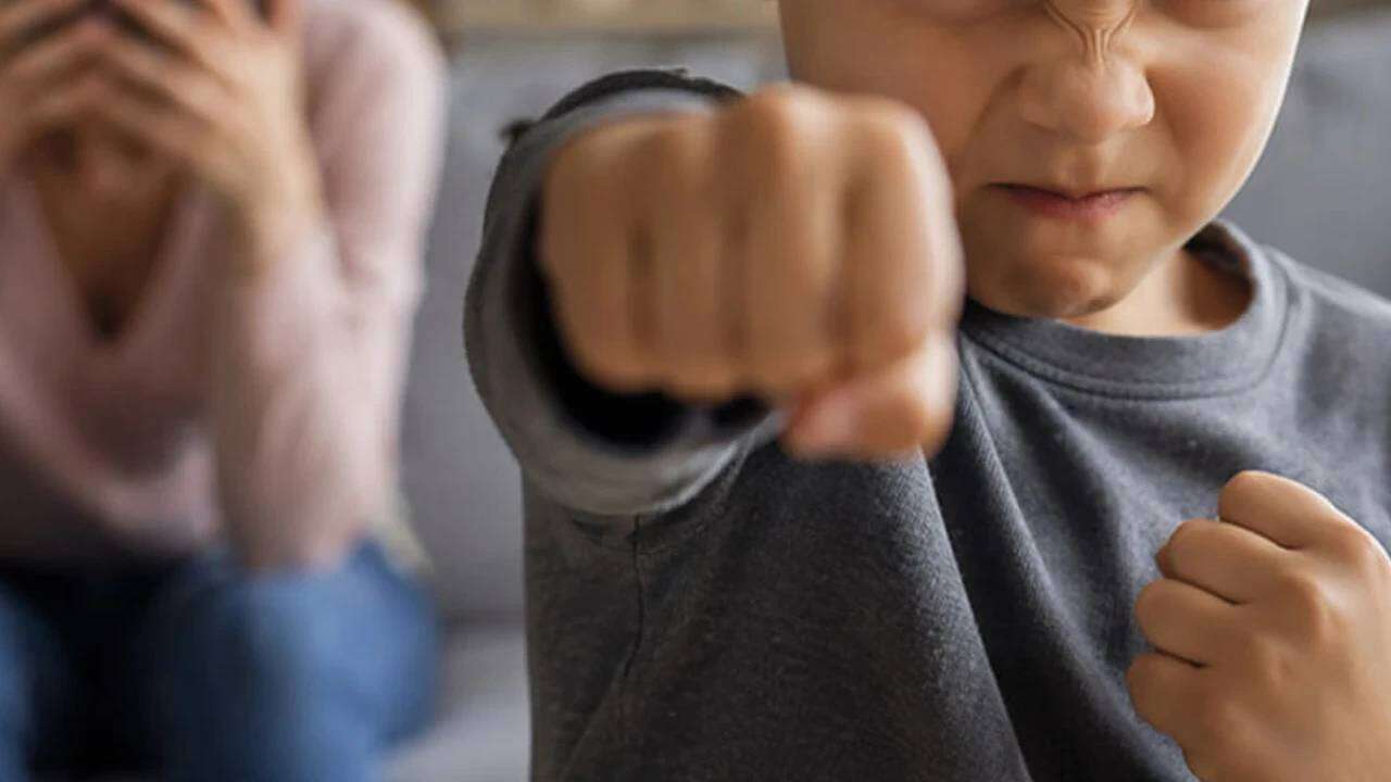Sinan Canan okullarda tırmanan şiddetin arkasındaki gizli tehlikeyi açıkladı: Doğuştan kötü değiller, bu hale getiriliyorlar! 2